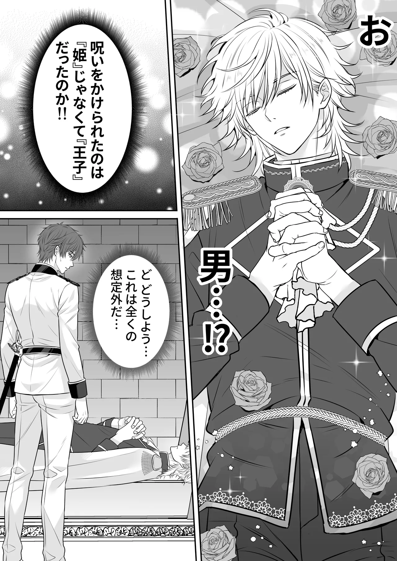 眠り姫を助けに行ったら、眠っていたのはイケメンヤンデレ王子でした page 10 full