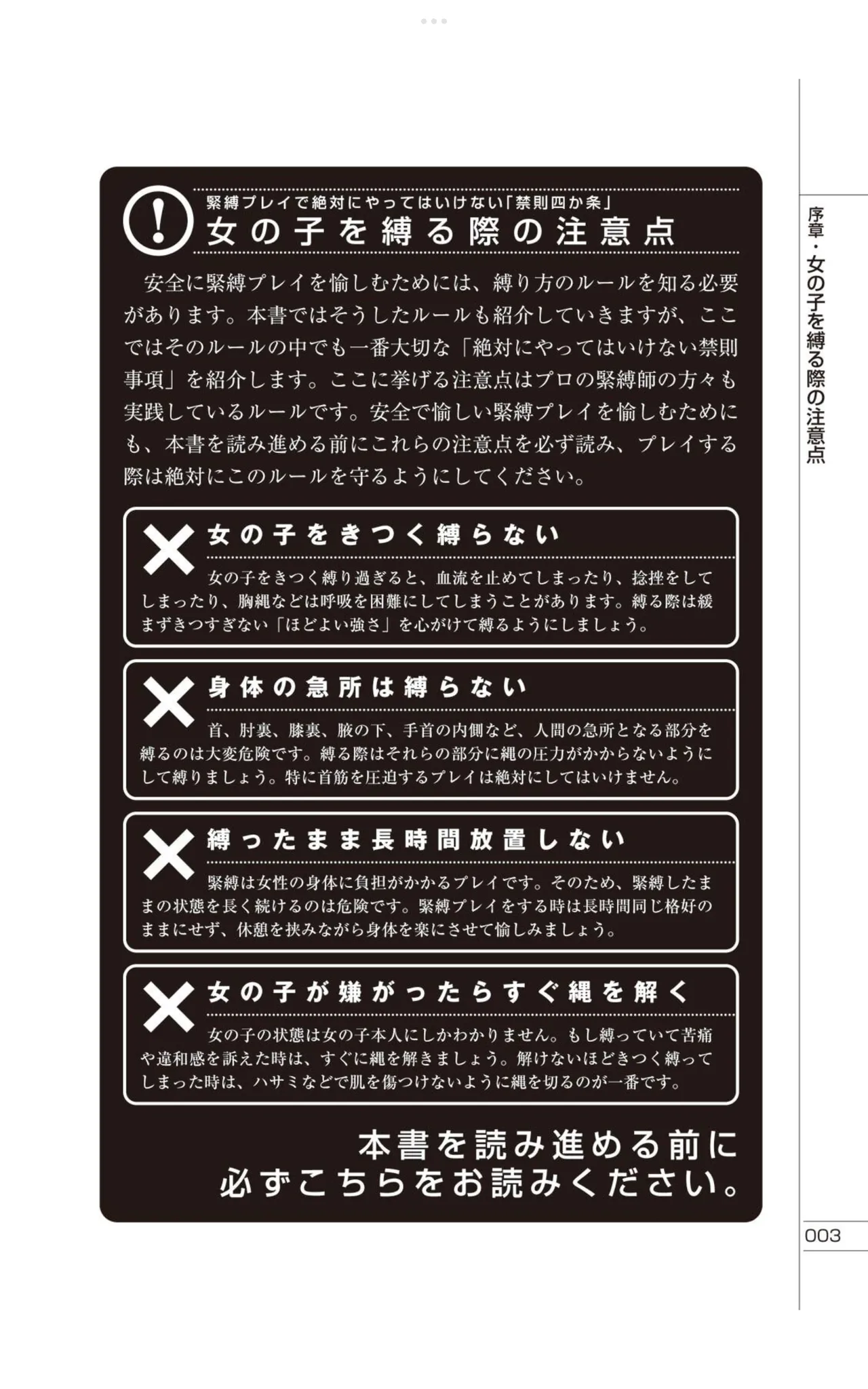 Do It Right Now! Illustrated Bondage Techniques Manual – Light Maniac Text Series page 4 full