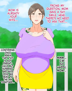 nureshidare - Boshi Dain Nichijou ~Boku no Tane de Haranda Kaa-san to Nakadashi Shimakuri — page 17