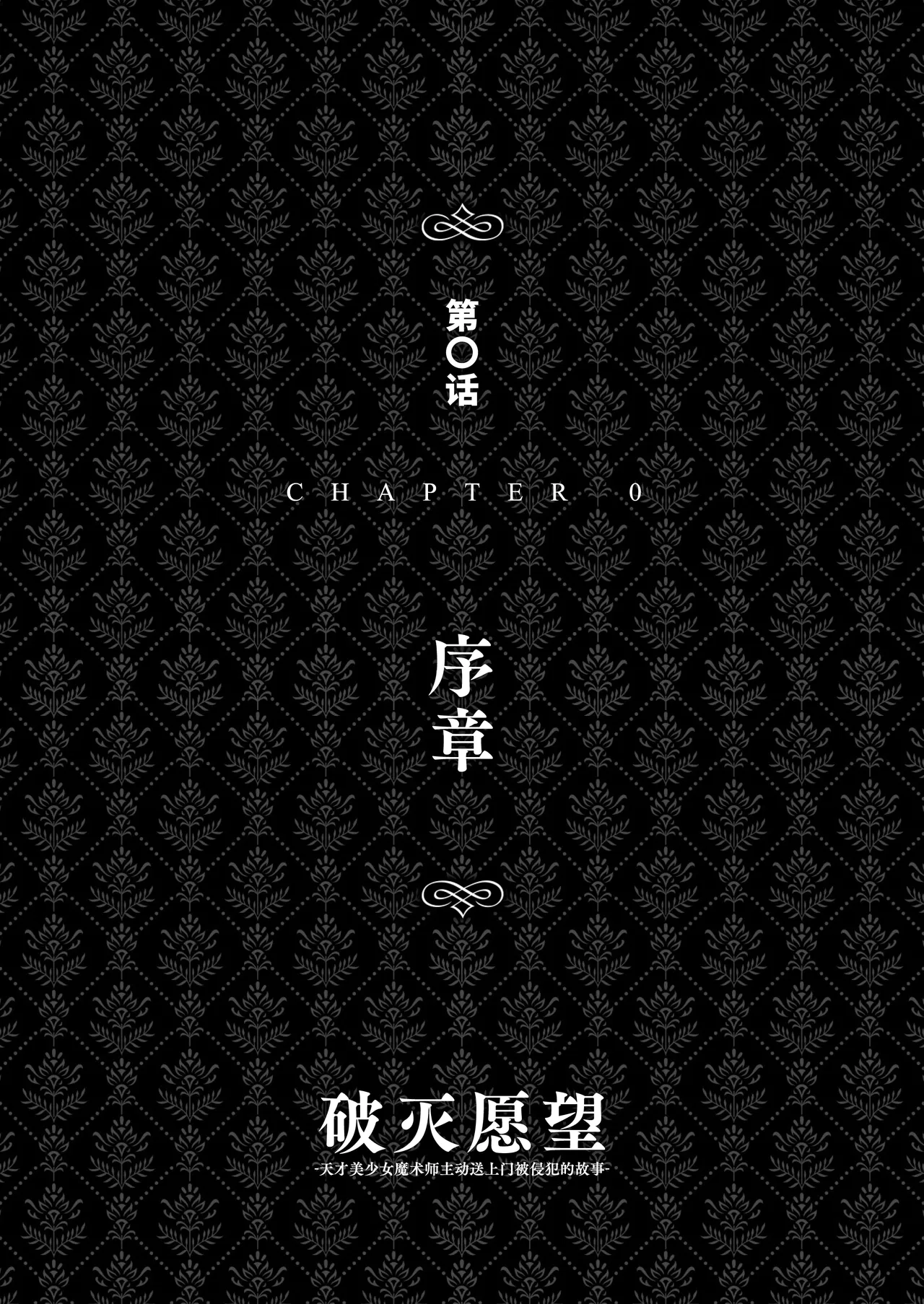 Hametsu Ganbou -Tensai Bishoujo Majutsushi ga Jibun kara Okasare ni Iku Hanashi- | 破灭愿望 -天才美少女魔术师主动送上门被侵犯的故事- page 8 full