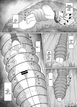 [Baketumuri Bokujou (Baketumuri)] Niku no Ori Yakumo Ran (Touhou Project) [English] [SCANMTL] [Digital] — page 17
