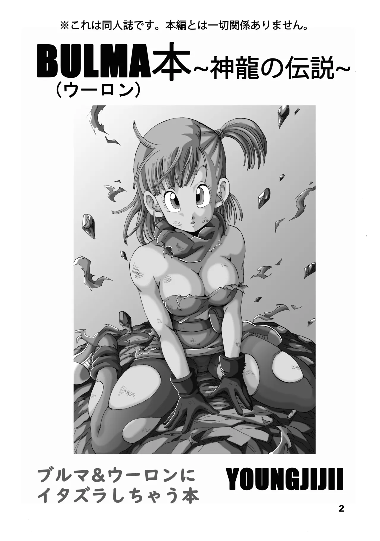 Bulma  Hon ~Shenlong no Densetsu~ page 3 full