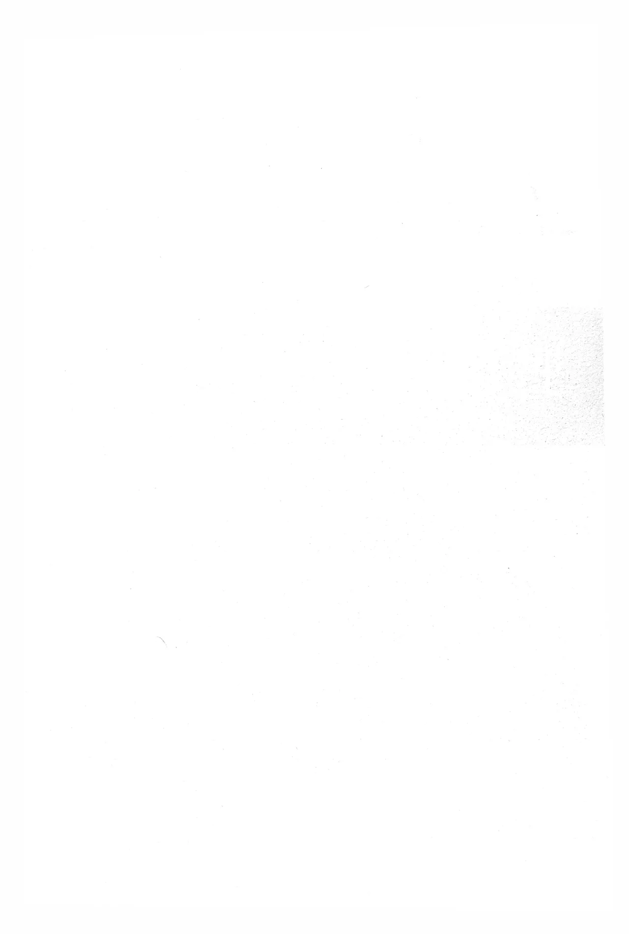 Noraneko no Himatsubushi  | 野貓的消遣時光 page 4 full
