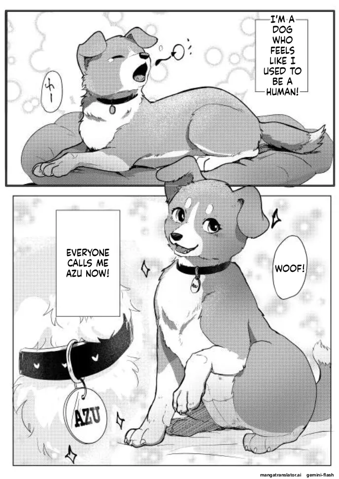 Wonderful! 1 page 2 full