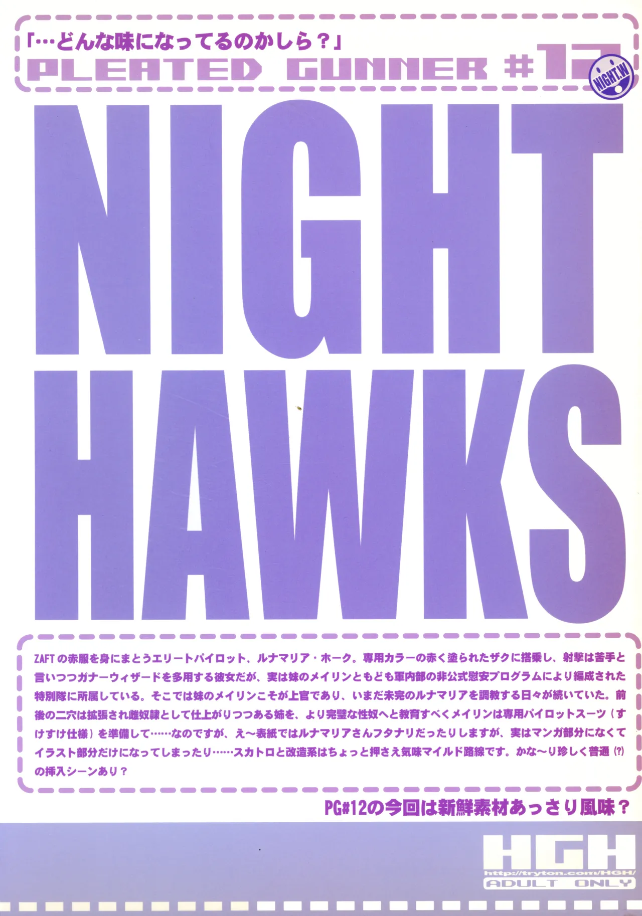 PG#12 NIGHT HAWKS page 2 full