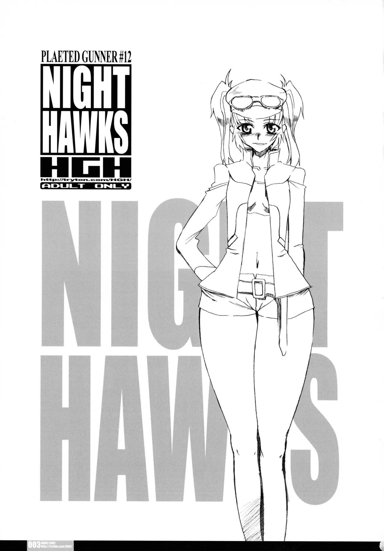 PG#12 NIGHT HAWKS page 3 full