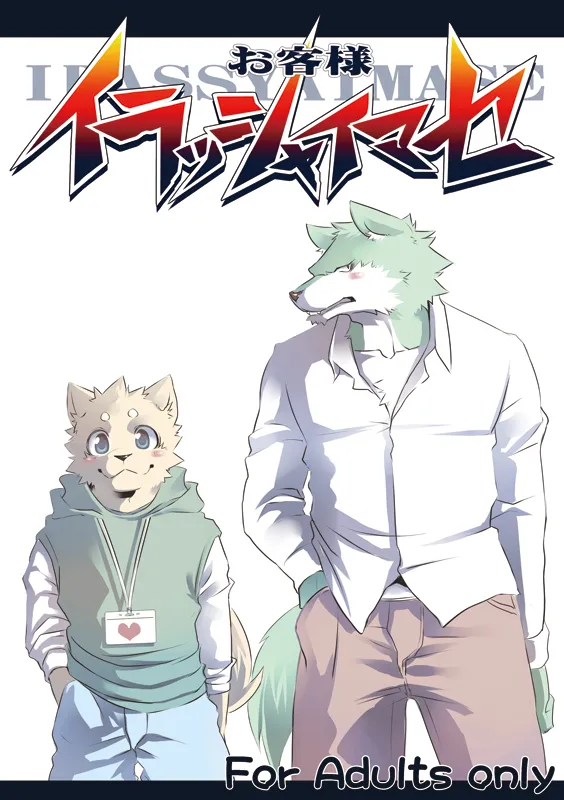 客人，欢迎光临 page 1 full