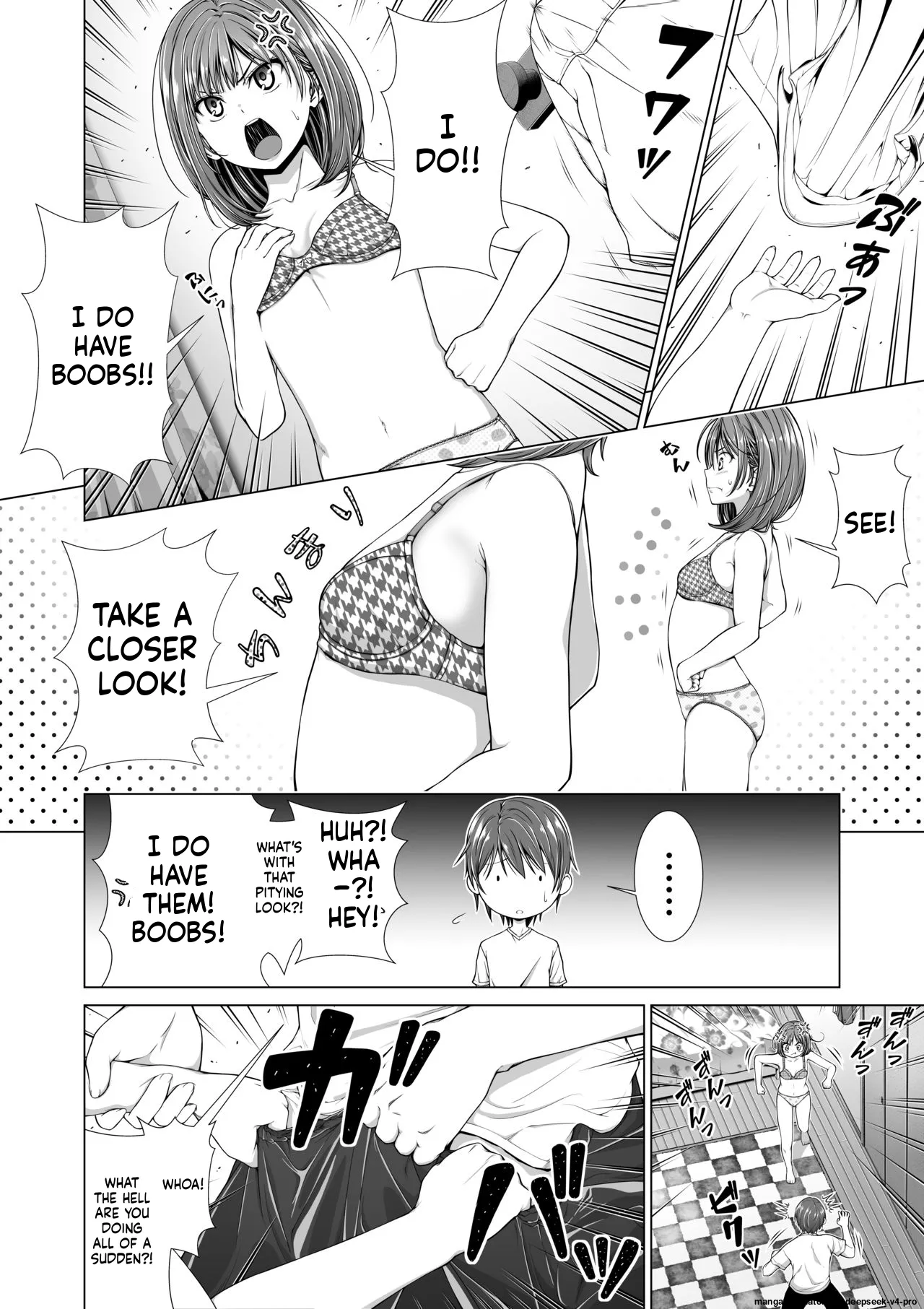 Houkei o Baka ni Shita Ane o Yatte Shimau Hanashi page 5 full