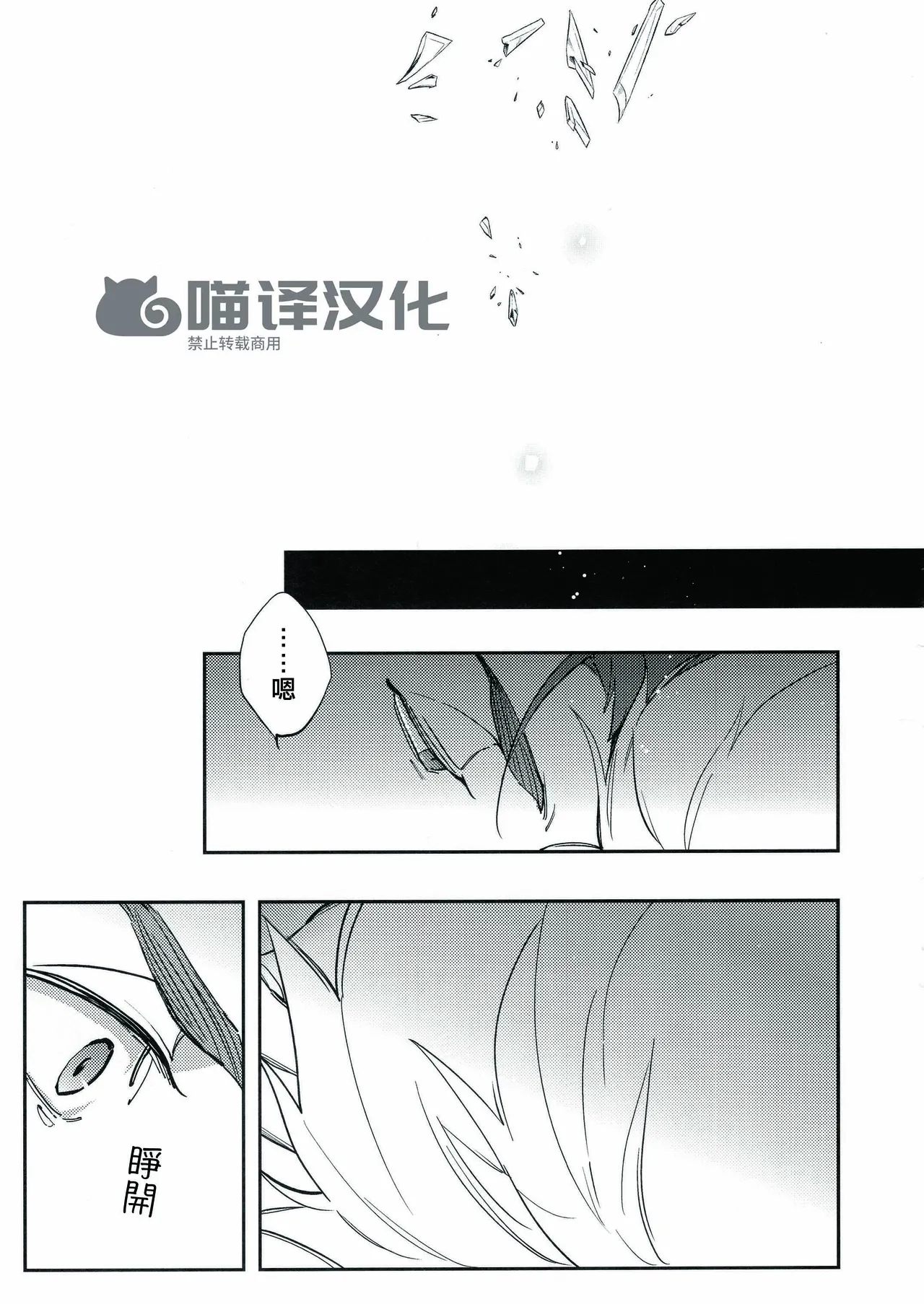 Seisya no Endororu page 10 full