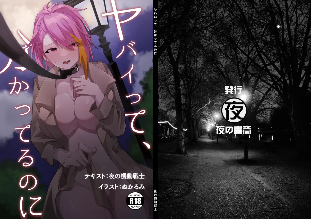 ヤバいって、分かってるのに page 3 full