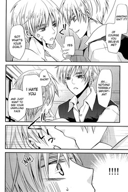 [Dolce Einsatz (Tomoe Kiko)] IMITATION PLAY (Hige Mayu Sairoku) (Hetalia Axis Powers) [English] — page 11