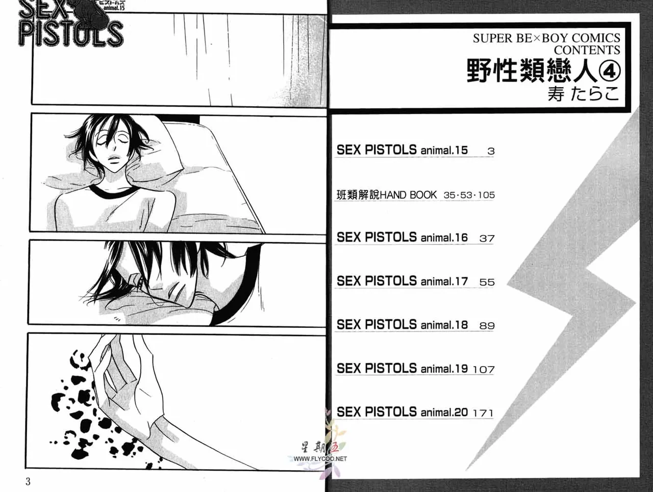 SEX PISTOLS 野性類戀人  Vol. 4 page 3 full