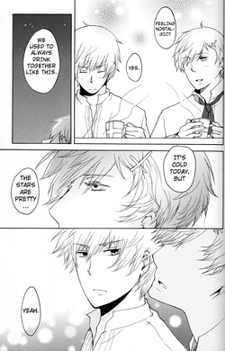 [Cobitodou] Waga Koi wo Hito Shirurameya (Hetalia Axis Powers) [English] — page 21