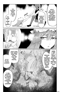 [Shinigahachi (Shinigahachi)] Majo to Koakuma, Kankaku Shadan Ana ni Ochiru. (Touhou Project) [English] [SCANMTL] — page 12