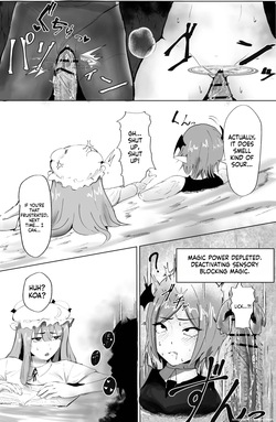[Shinigahachi (Shinigahachi)] Majo to Koakuma, Kankaku Shadan Ana ni Ochiru. (Touhou Project) [English] [SCANMTL] — page 19
