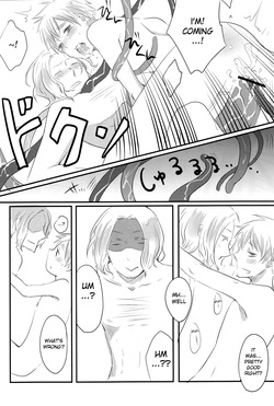 [Daraya. (Wako)] Ero Taishi de Nani ga Warui! (Hetalia Axis Powers) [English] — page 24