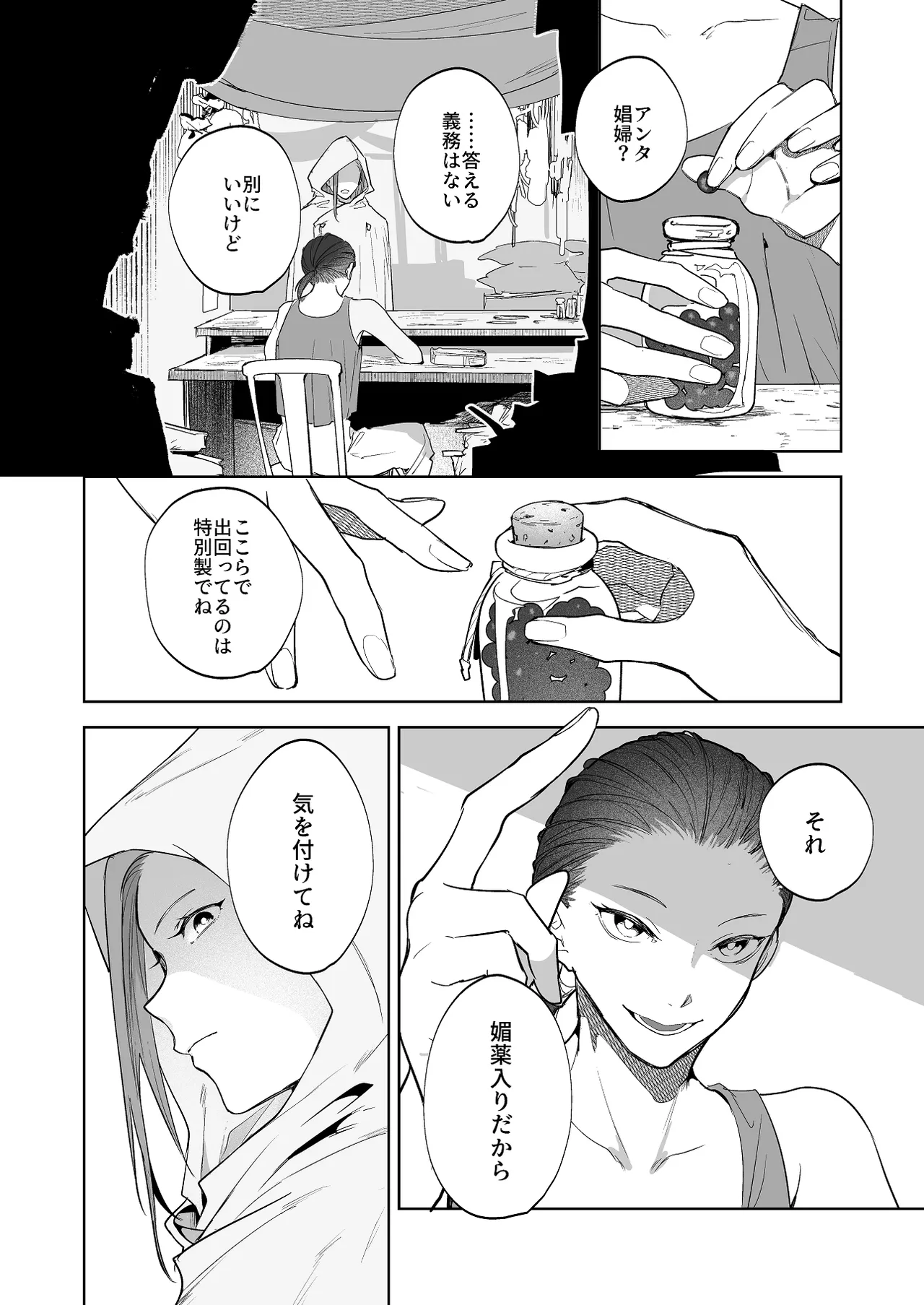 護衛女騎士と王子の関係3 page 2 full