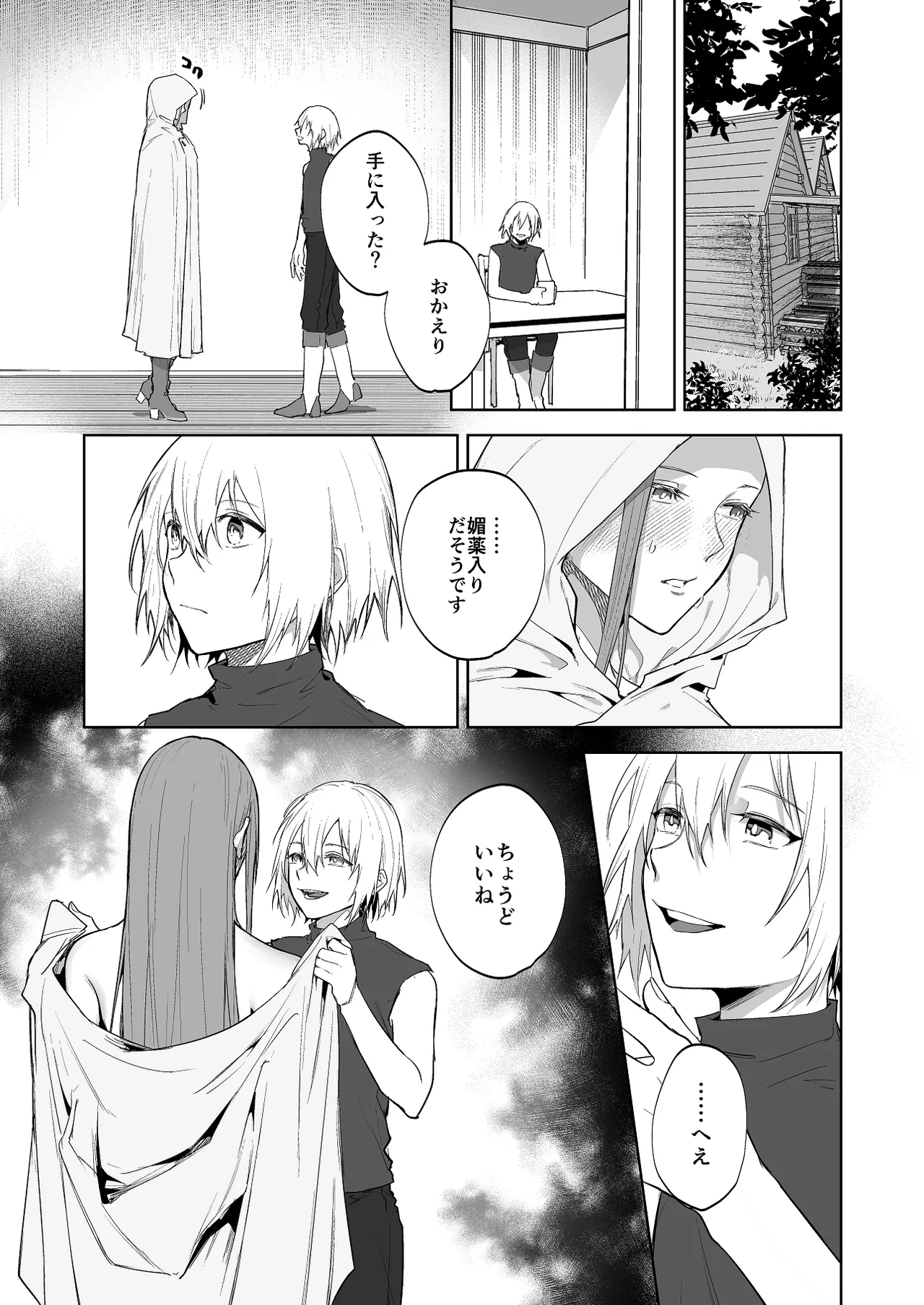 護衛女騎士と王子の関係3 page 3 full