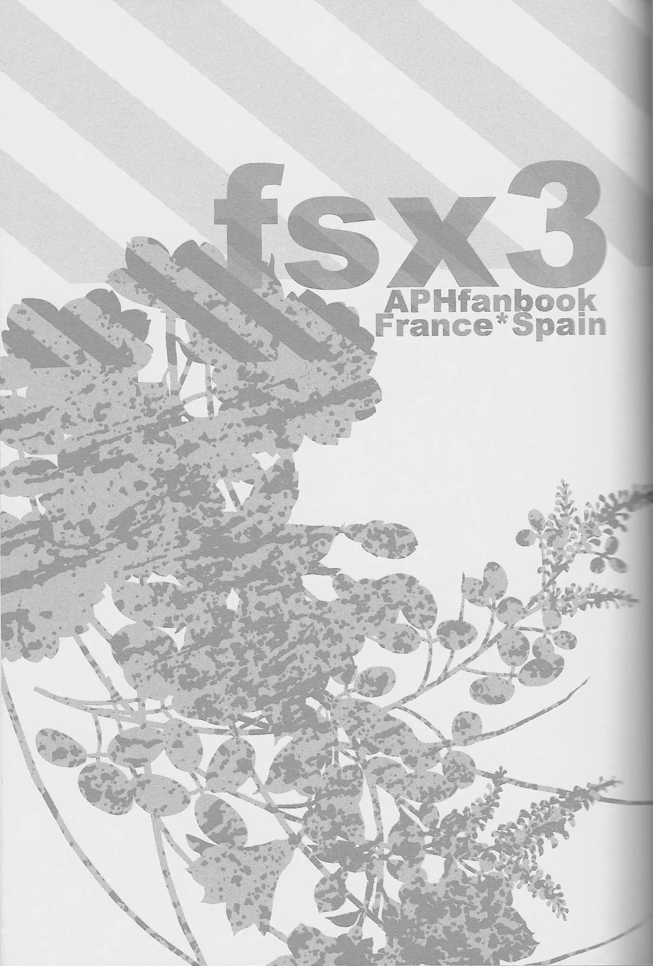 fsx3 page 4 full