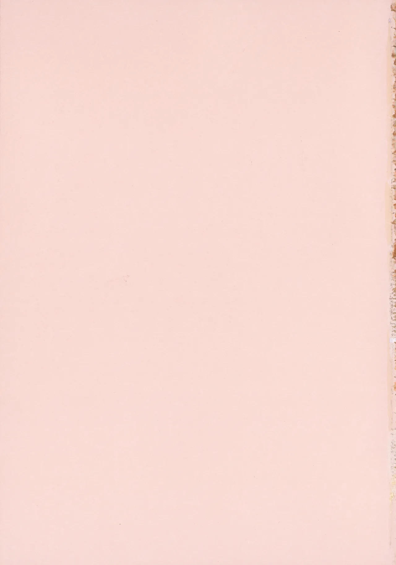 Amoral Island Jou + Melonbooks 8PLeaflet + ClearFile page 6 full