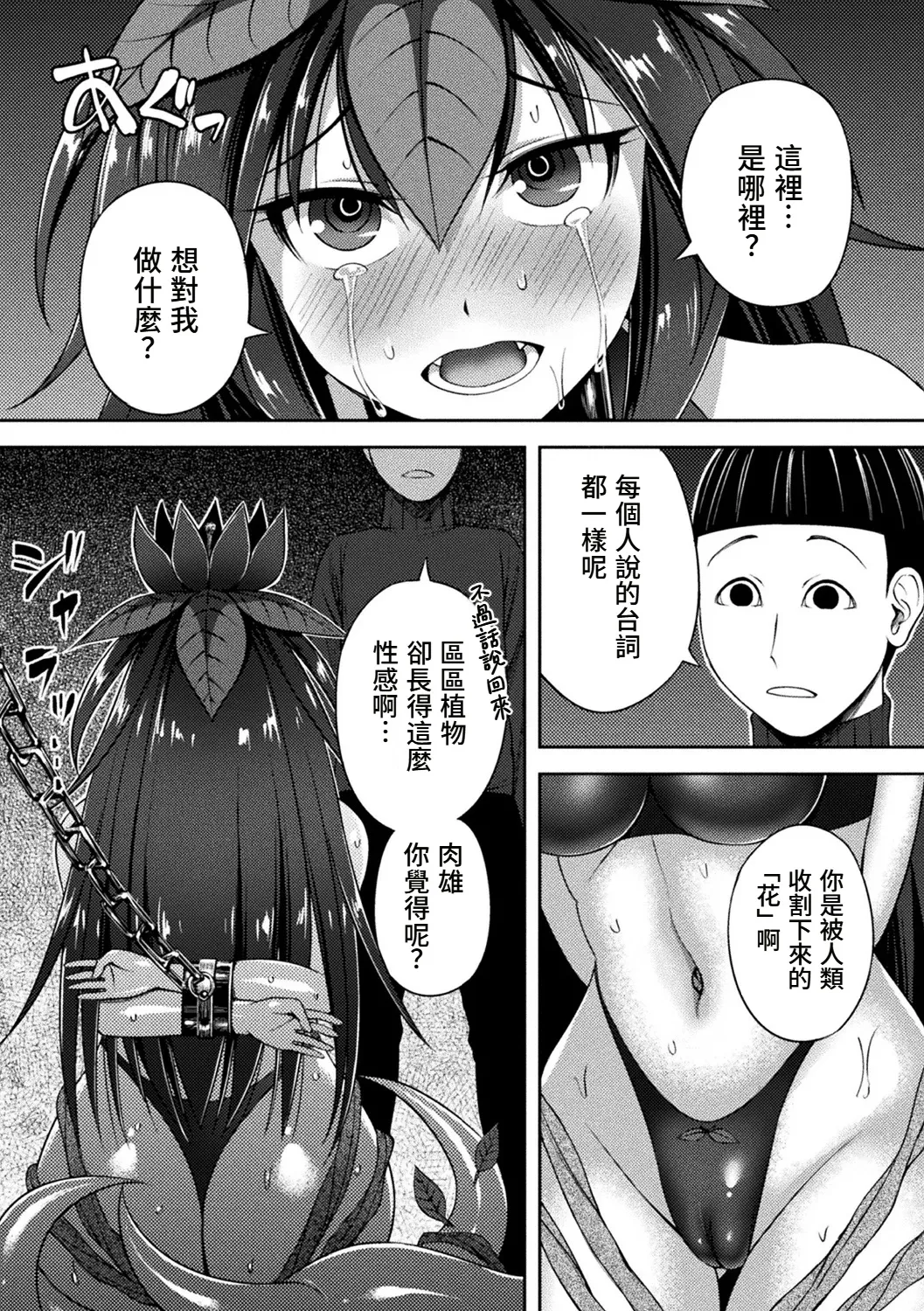 Toraware no Mandoragora page 3 full