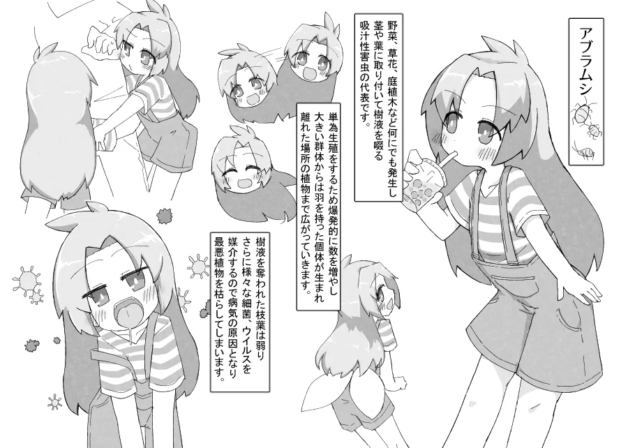 お庭の害虫駆除日報 page 7 full