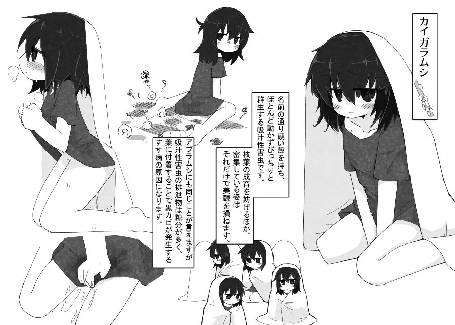 お庭の害虫駆除日報 page 9 full