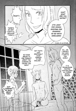 [ALMAGEST (Amii)] After Festival (Hetalia Axis Powers) [English] — page 12