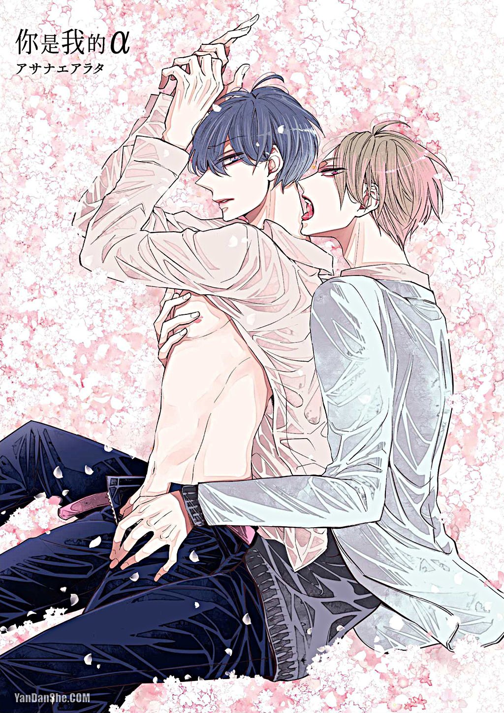 Kimi wa Alpha︱你是我的 α page 2 full