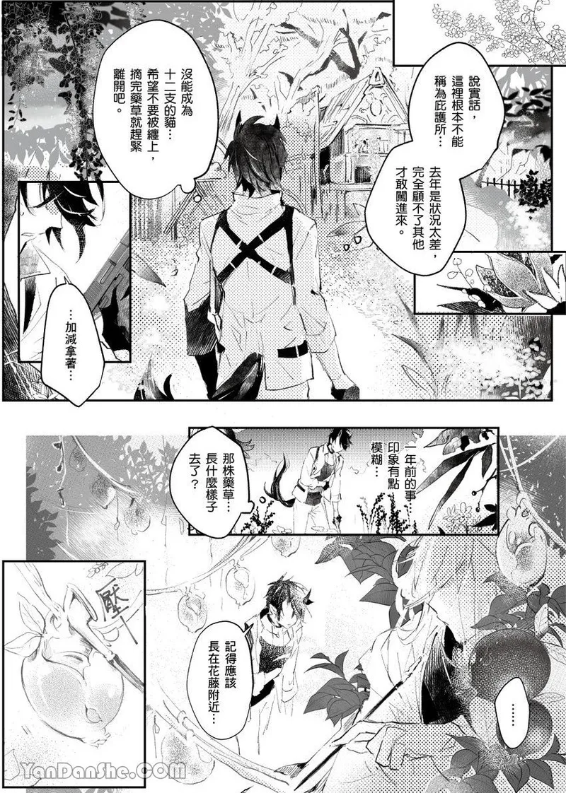 The Cat Doctor's Herbal Medicine Comes at a Price︱香草猫的收费医疗守则 page 6 full