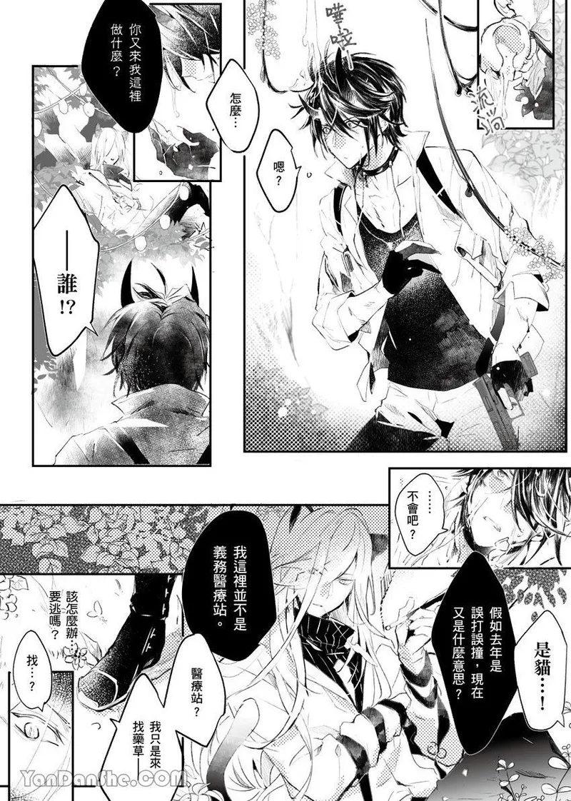 The Cat Doctor's Herbal Medicine Comes at a Price︱香草猫的收费医疗守则 page 7 full