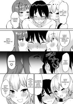 [Pride Beans] Ecchi na Shimai no Double Chikubi Seme Kairaku — page 16