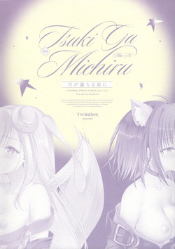 (C108) [TwinBox (Hanahanamaki, Sousouman)] Tsuki ga Michiru Mae ni | Before the Moon Waxes Full (Chou Kaguya-hime!) [English] — page 22
