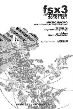[MICROMACRO (Yamada Sakurako)] fsx3 (Hetalia Axis Powers) [English] (Incomplete) — page 18