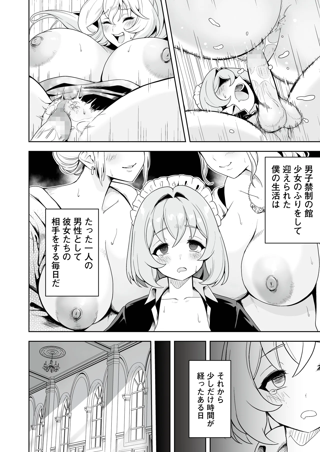 メイドたちの性事情2 〜男子禁制の館でメイドとして仕える僕が、女主人をイかせて堕とすまで〜 page 3 full