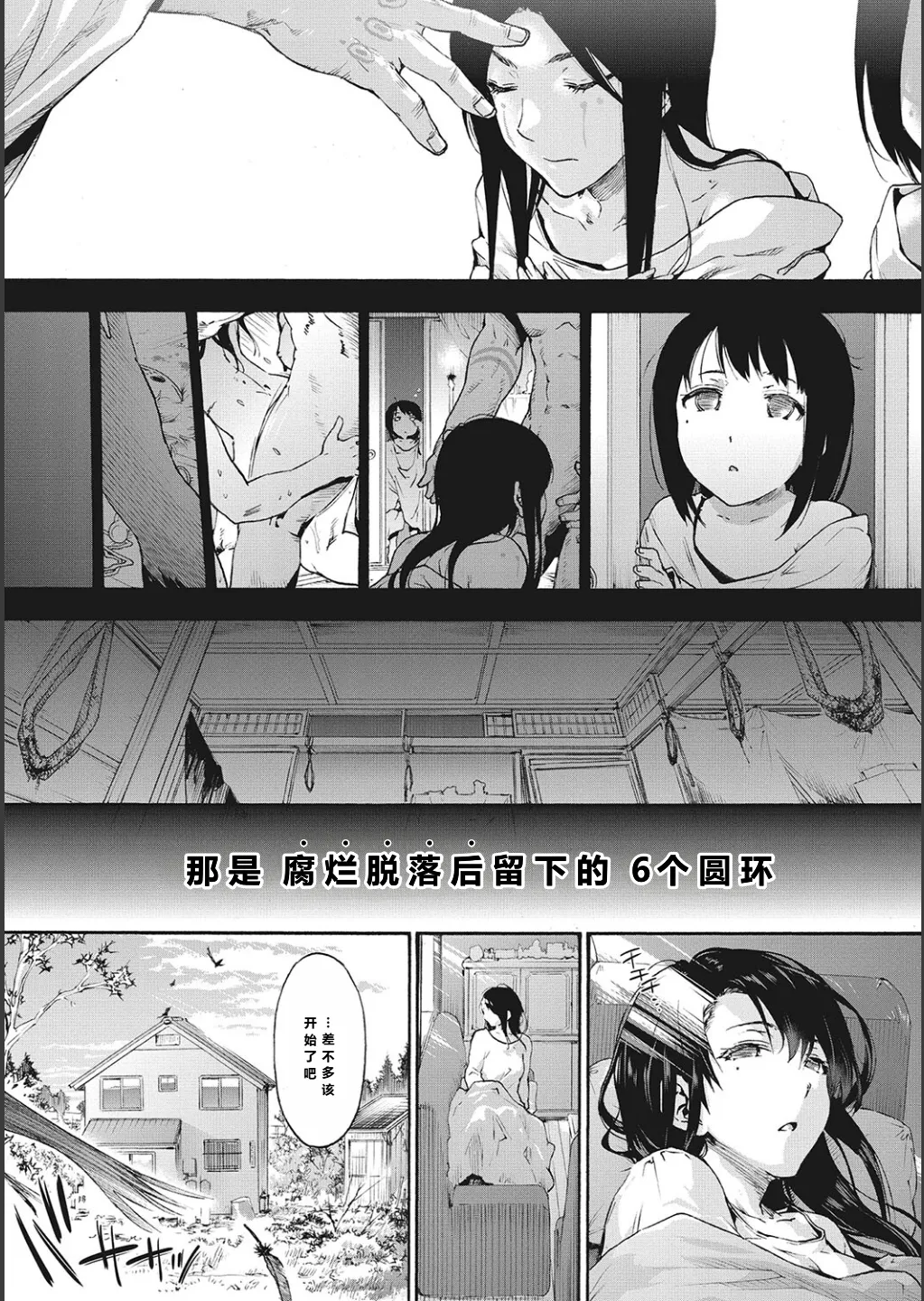 Harem Cult side CULT + Toranoana Kounyu Tokuten 4P Leaflet + Melonbooks Tokuten page 3 full