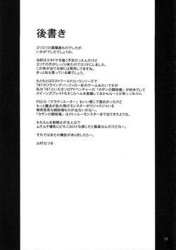 (SC33) [Anglachel (Yamamura Natsuru)] Injoku no Senshi Leina & Elina | Defiled Soldiers: Leina & Elina (Queen's Blade) [English] [EHCOVE] — page 24