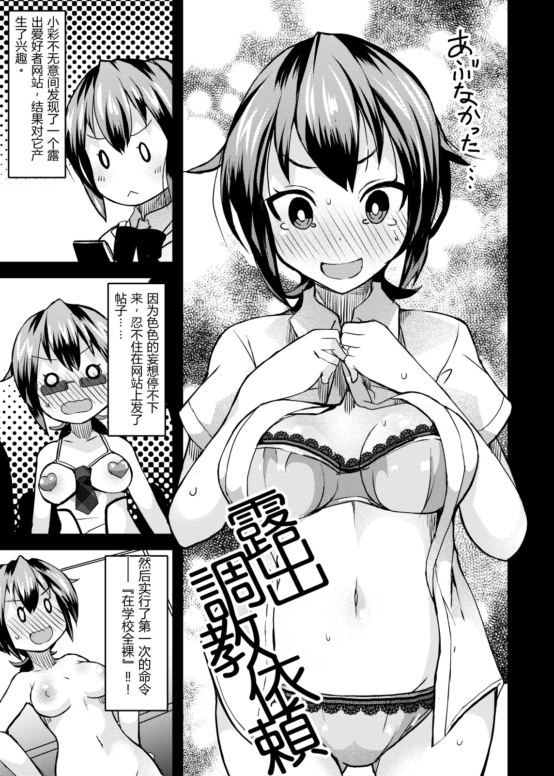 Roshutsu Choukyou Irai 2|露出調教依頼 2 page 3 full