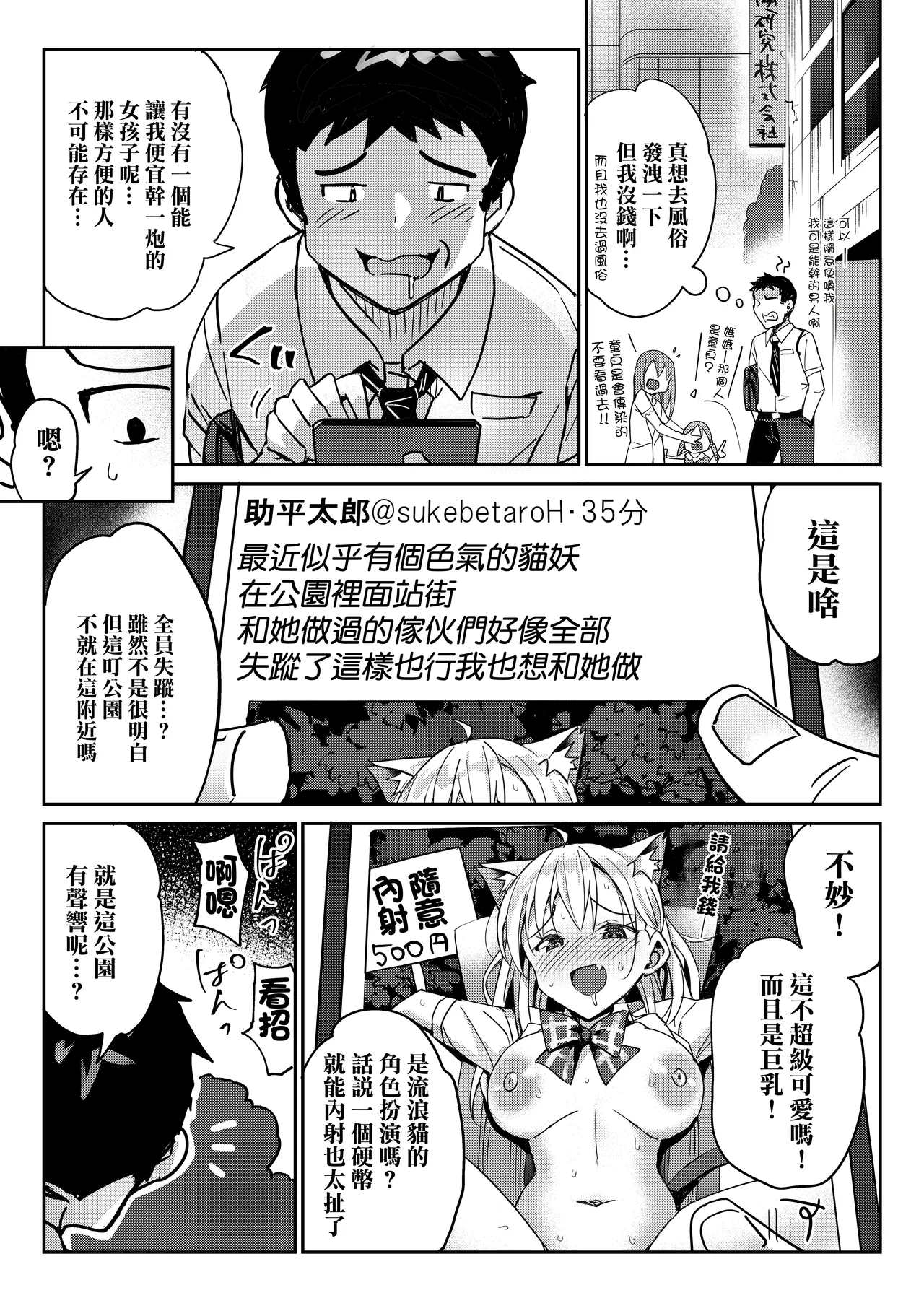 Suteneko no Yuuwaku ni wa Dare mo Katenai | 流浪貓的誘惑誰也無法抵抗 page 5 full