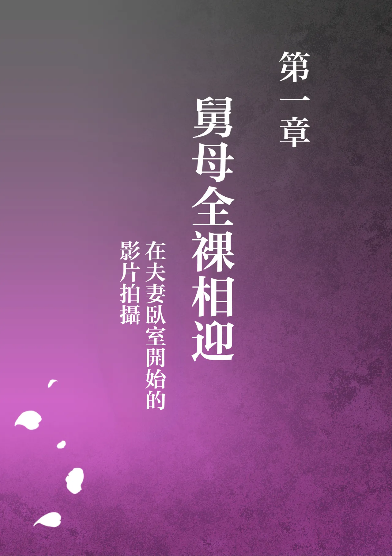 oba manami huuhu no sinsitu de douzinnAV satuei sa reru akogare no oba wo netoru3 page 3 full