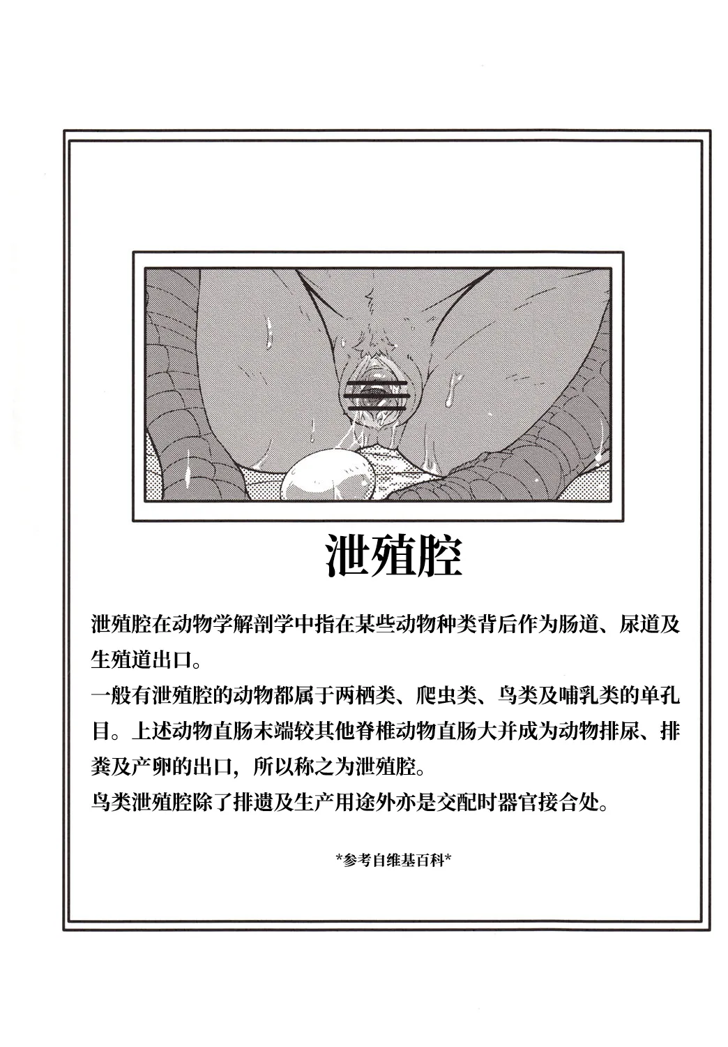朝鸡+鸡卵 page 3 full
