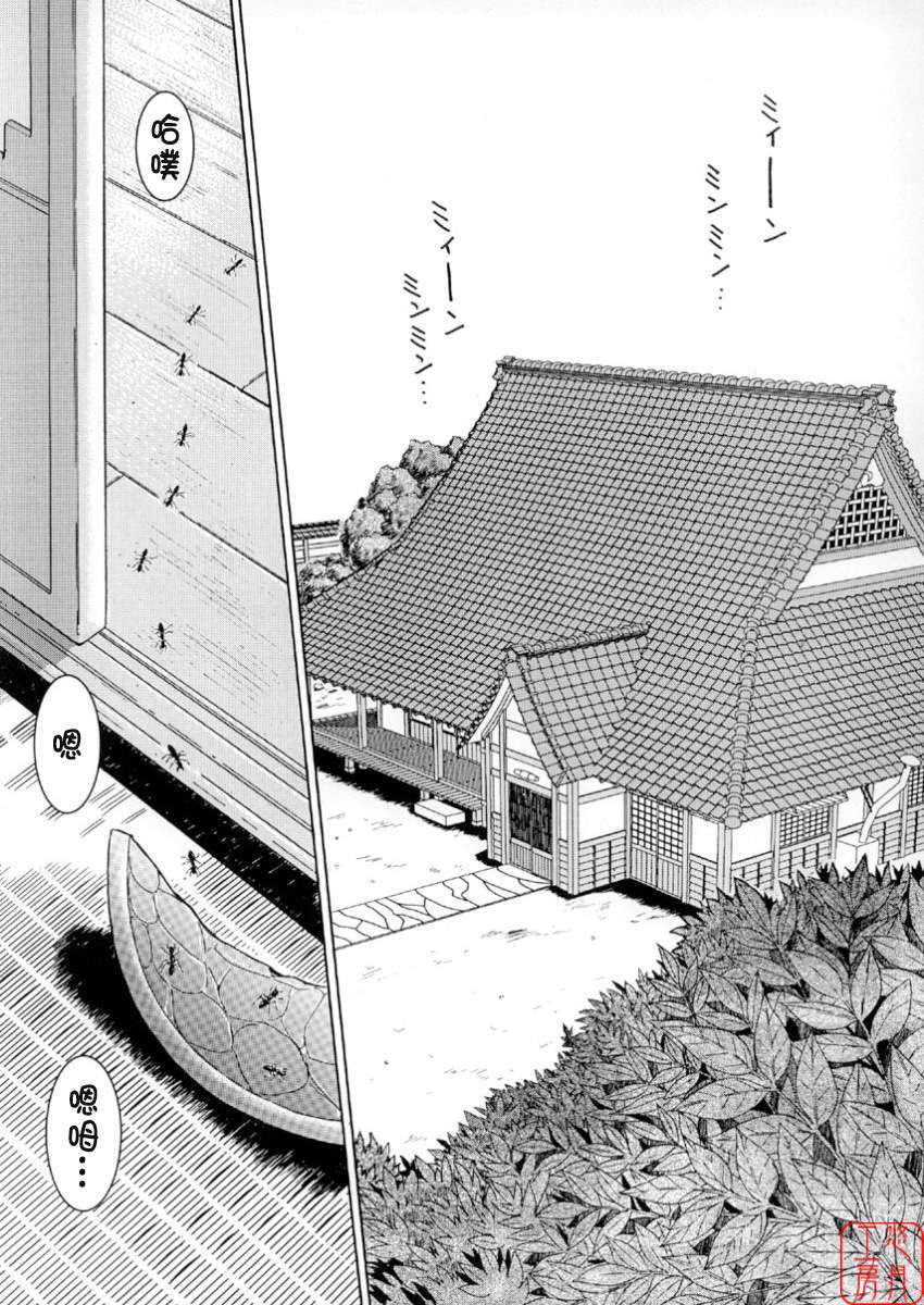 MIDGARD系列合集 page 2 full