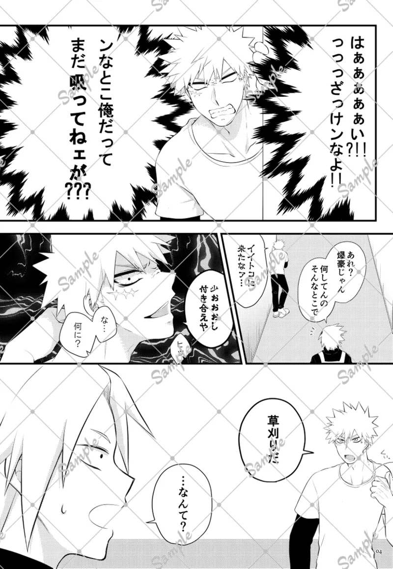  page 3 full