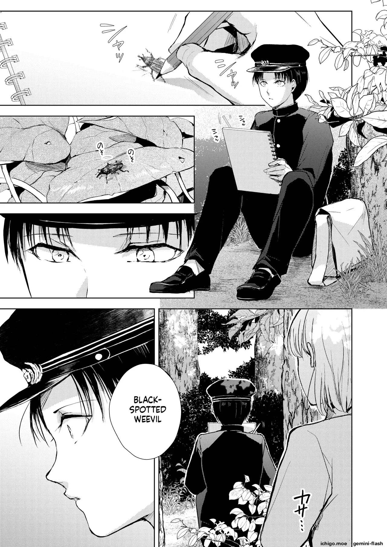 藤屋敷の標本 page 2 full