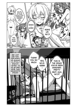 [Monochrome Inu (Onion Soup)] Dorei Senki Zecchou 2 (Senki Zesshou Symphogear) [English] [Digital] — page 23