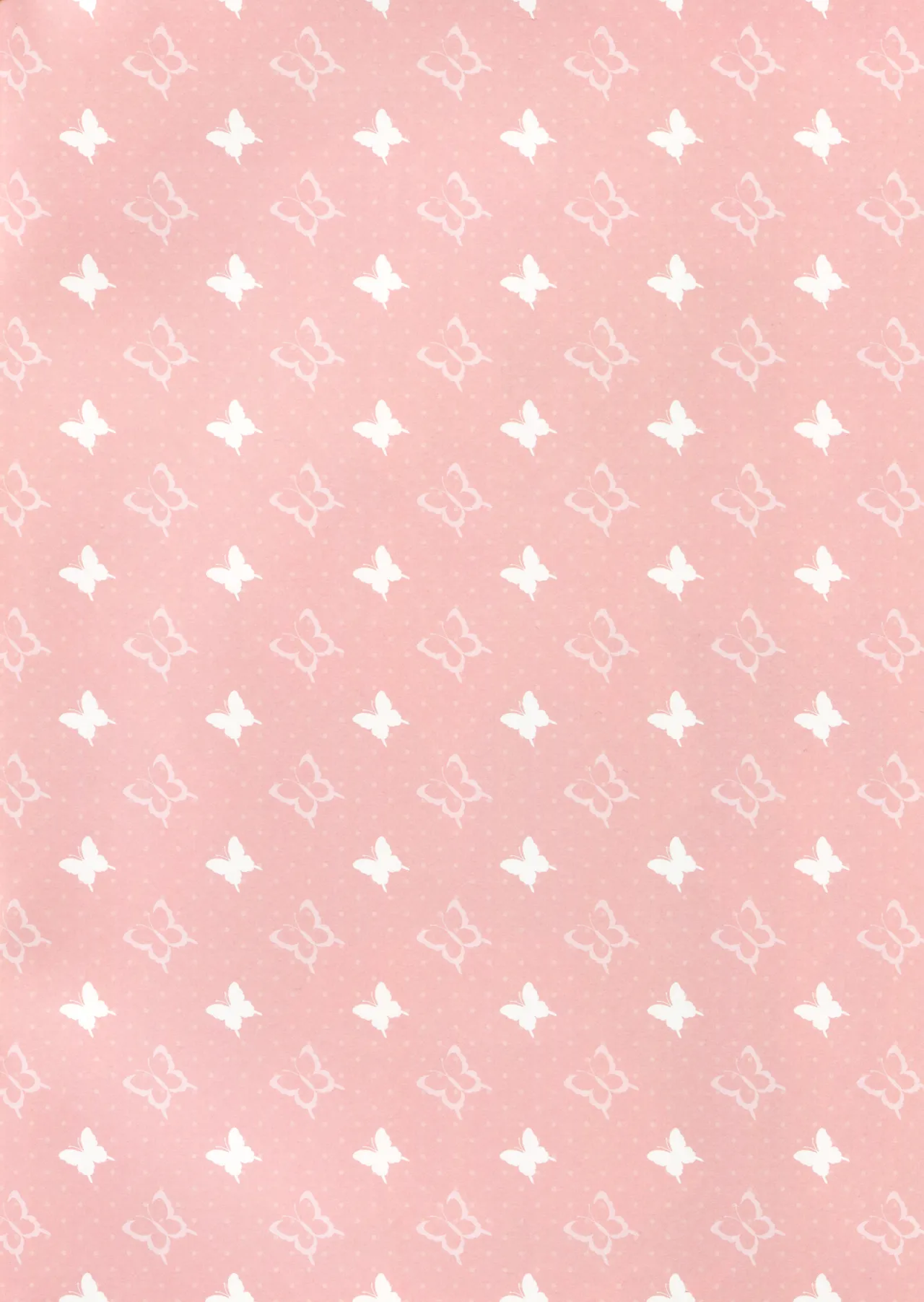 Kozukuri Gensoukyou | 造人幻想鄉 page 2 full