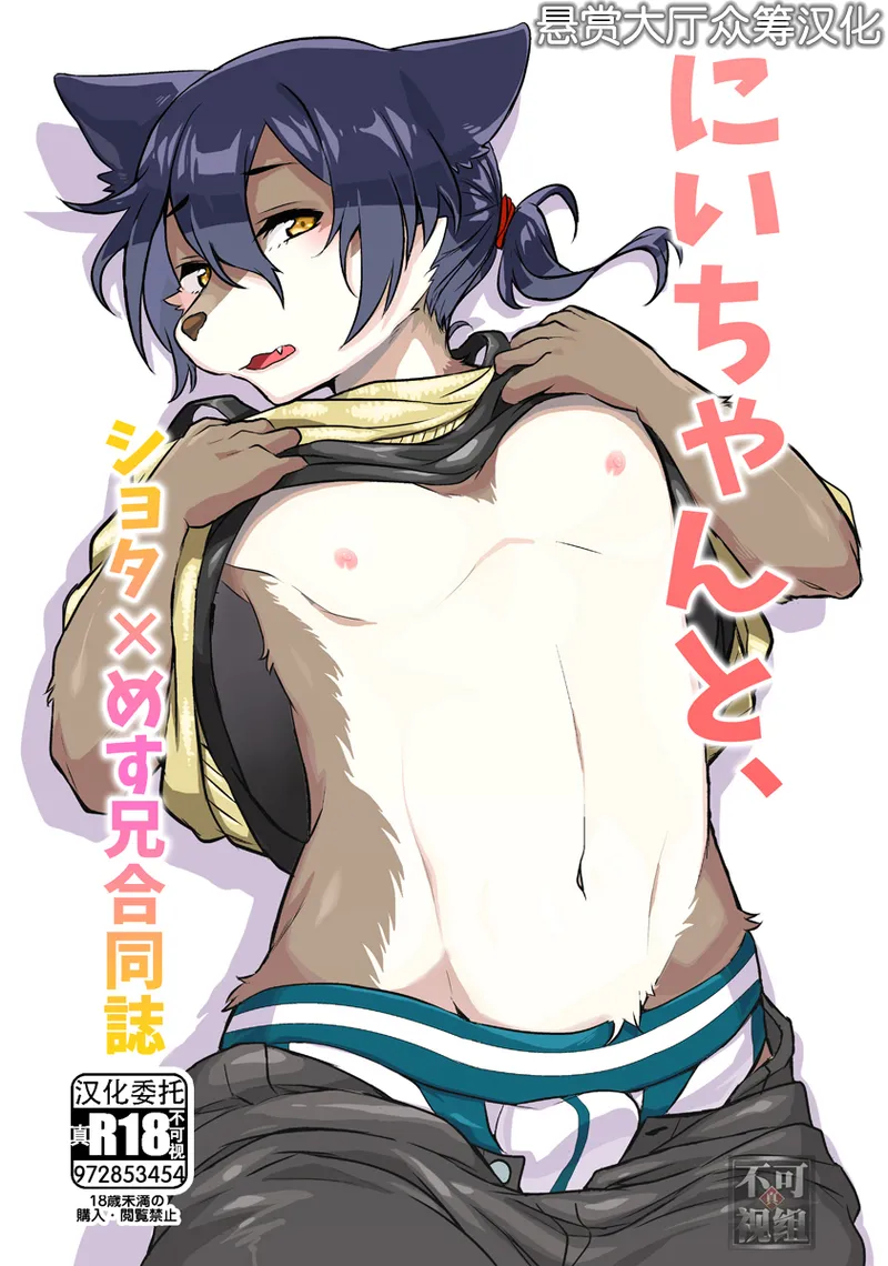 Nii-chan to, page 1 full