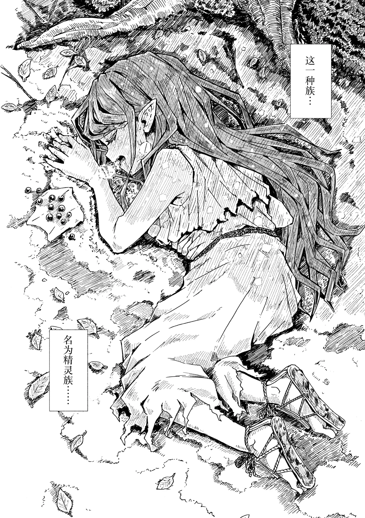 Elf no Shuukatsu | 精灵的临终旅行 page 5 full