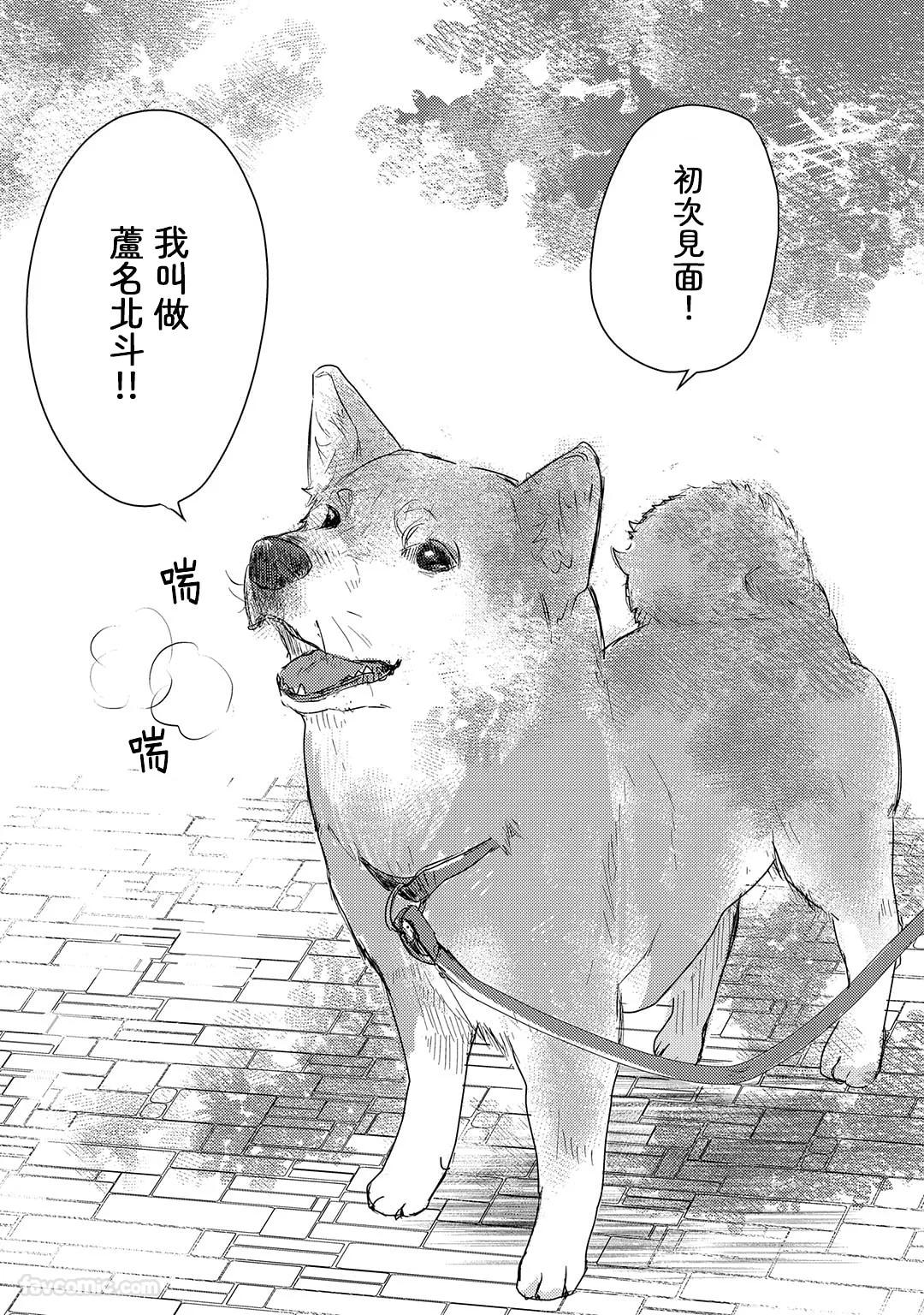 Ummei no Koi Shiba︱我「柴」是你的最爱 page 8 full