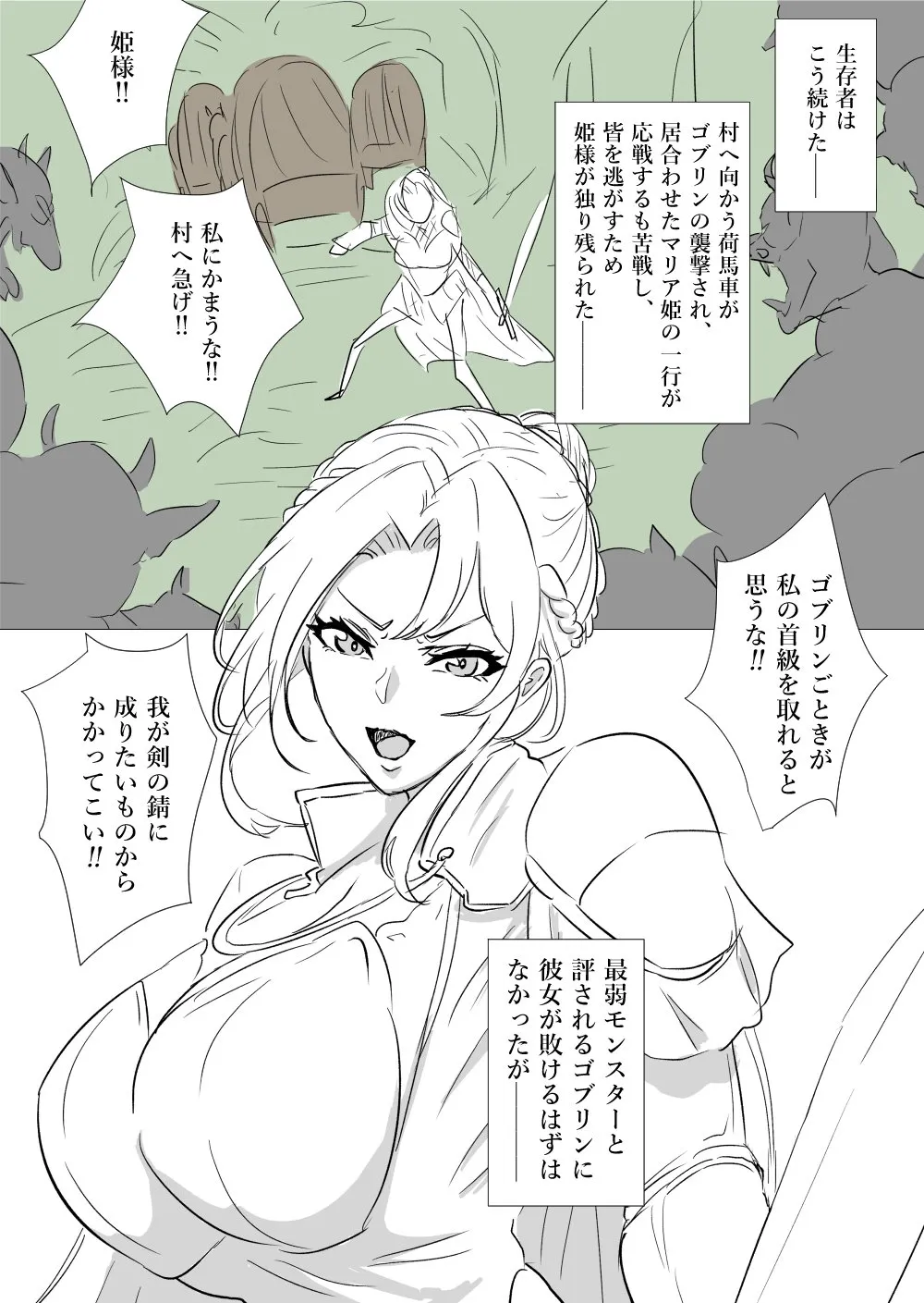 姫騎士vsゴブリン page 2 full